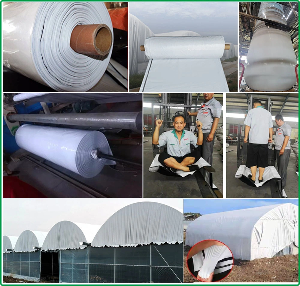 LDPE Silage Plastic Blackout Agricultural Film Black and White Silage Sheet Bunker Cover Greenhouse Panda Film Poly Silo Tarp