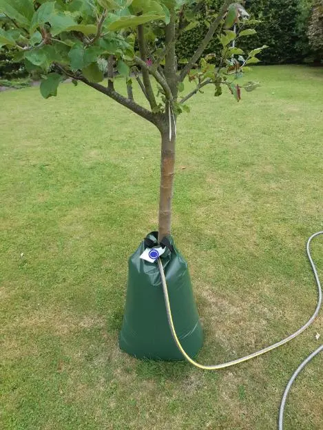 Wholesales High Quality Tree Watering Bag Use for Small Tree